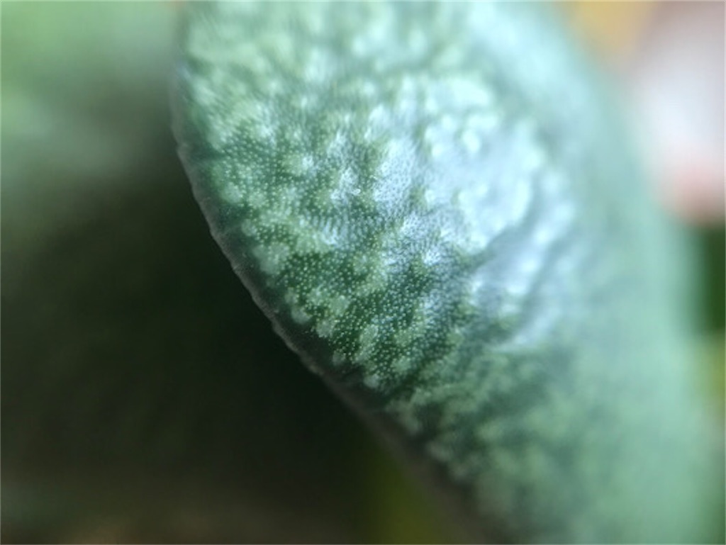 f:id:zun22:20230810094033j:image