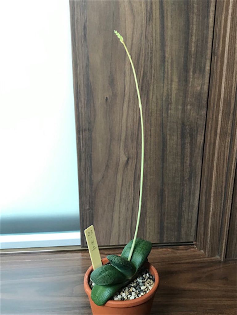 f:id:zun22:20230810094109j:image