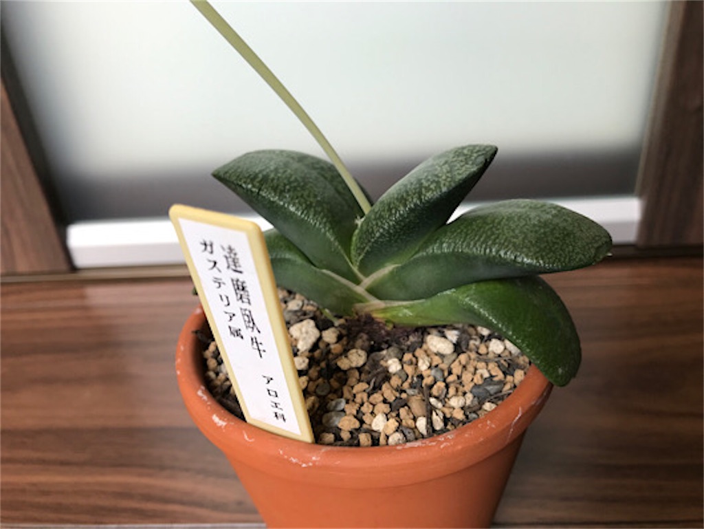 f:id:zun22:20230810094113j:image