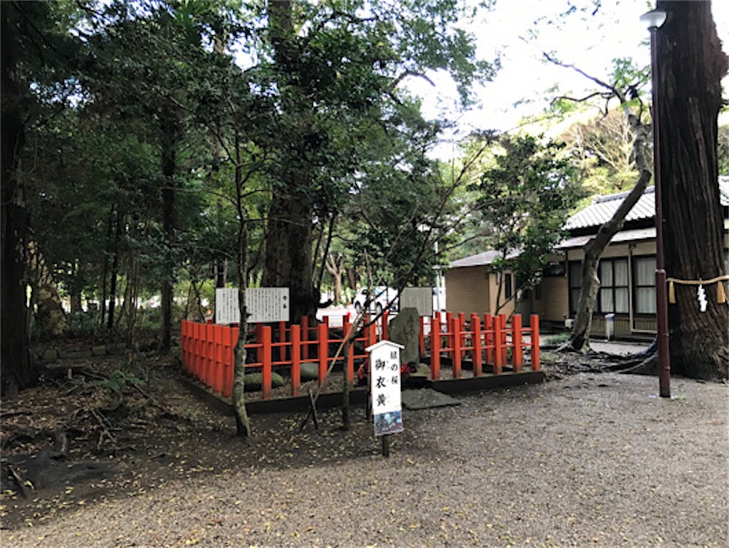 東国三社　息栖神社　緑の桜　御衣黄。