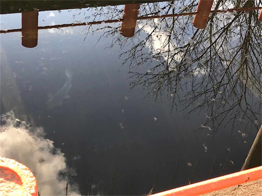 東国三社　息栖神社へ行ってきました。男瓶（おがめ）　魚が泳いでいます