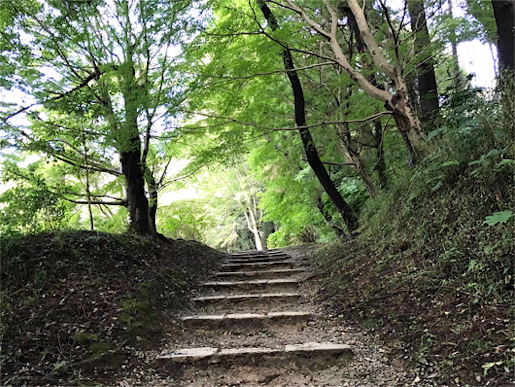 f:id:zun22:20231025065003j:image