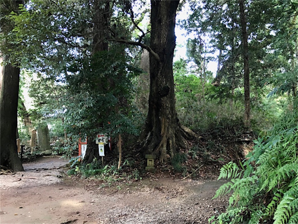 f:id:zun22:20231025070151j:image