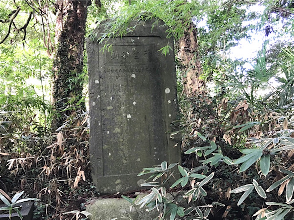 f:id:zun22:20231025070841j:image