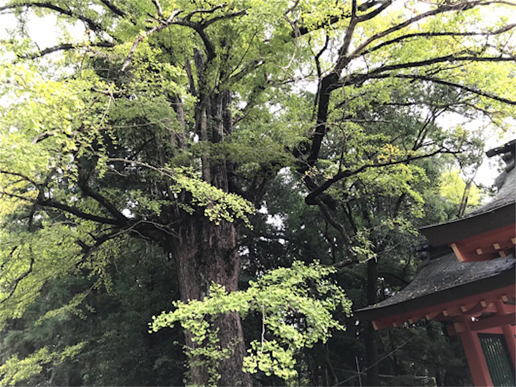 f:id:zun22:20231025070858j:image