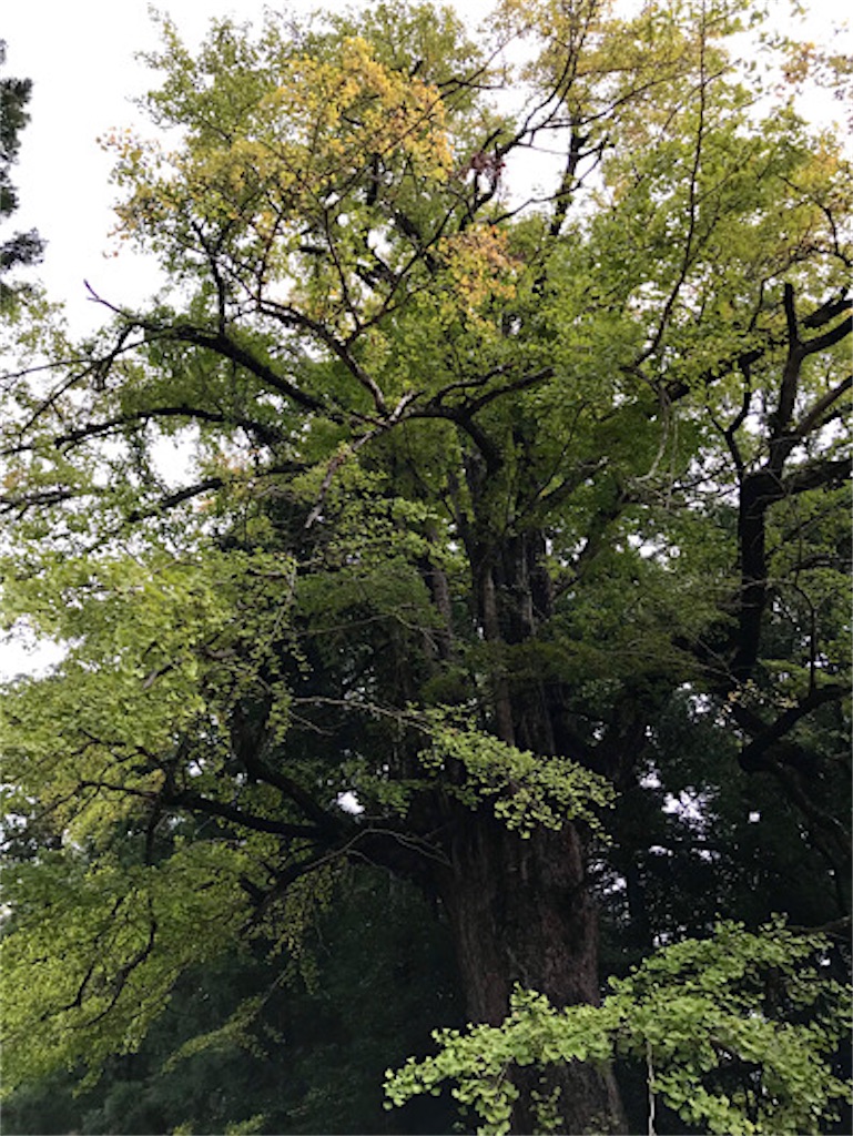 f:id:zun22:20231025073526j:image