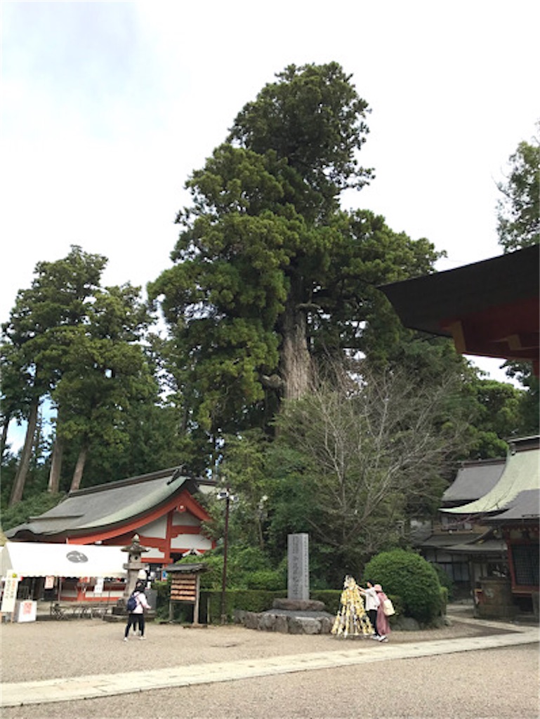 f:id:zun22:20231025073553j:image