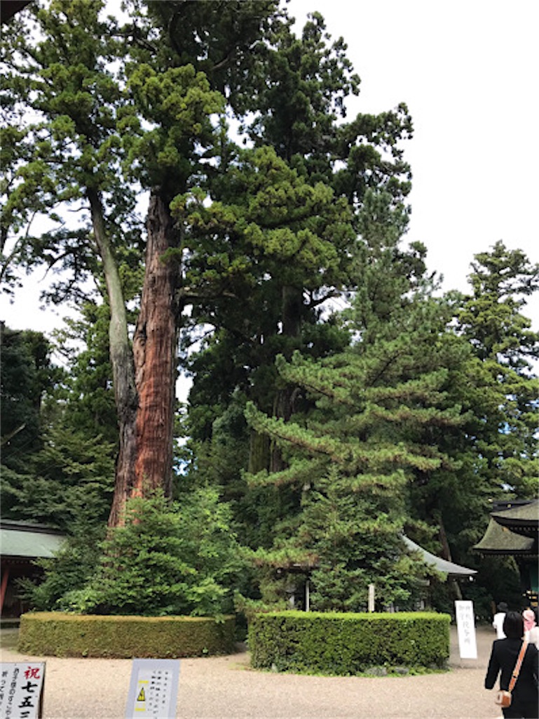 f:id:zun22:20231025073557j:image