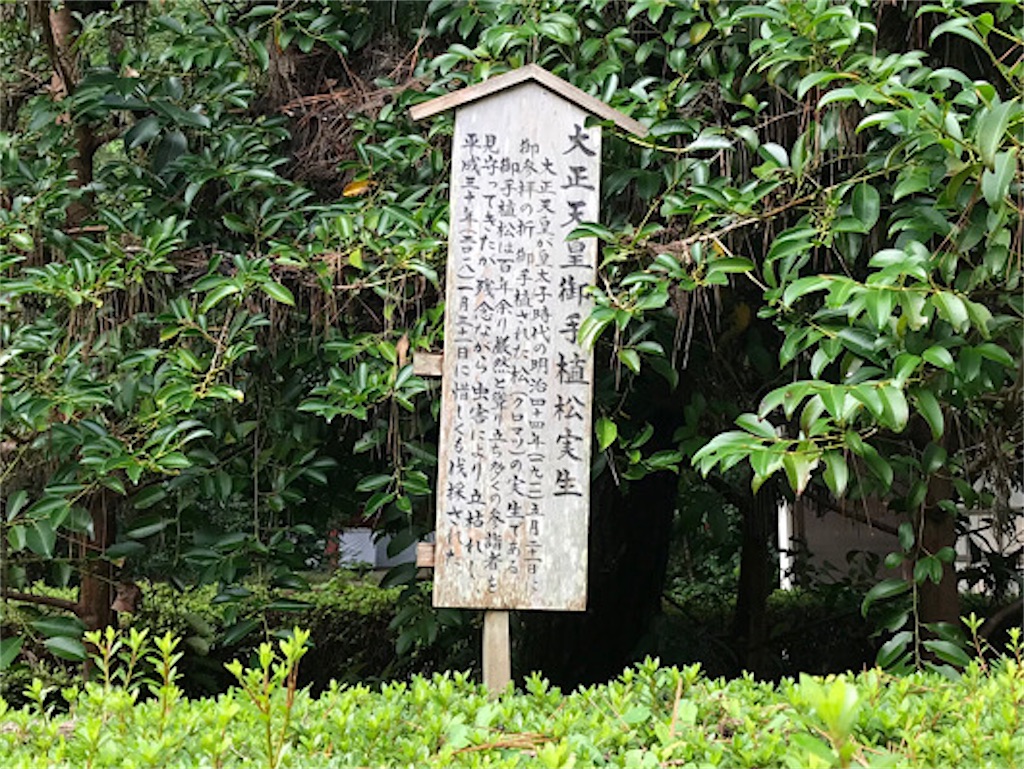 f:id:zun22:20231025074338j:image