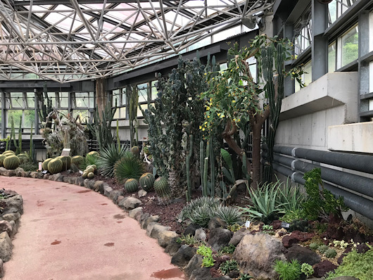 市川市観賞植物園