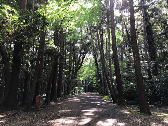 鹿島神宮・奥宮から要石へ歩く。