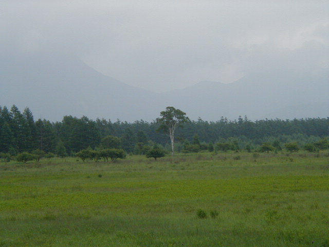 小田代ヶ原の貴婦人 小田代ヶ原の貴婦人