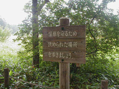 小田代ヶ原では決められた場所を歩きましょう、ゴミは持ち帰りましょう 小田代ヶ原では決められた場所を歩きましょう、ゴミは持ち帰りましょう