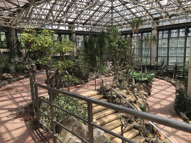 市川市観賞植物園