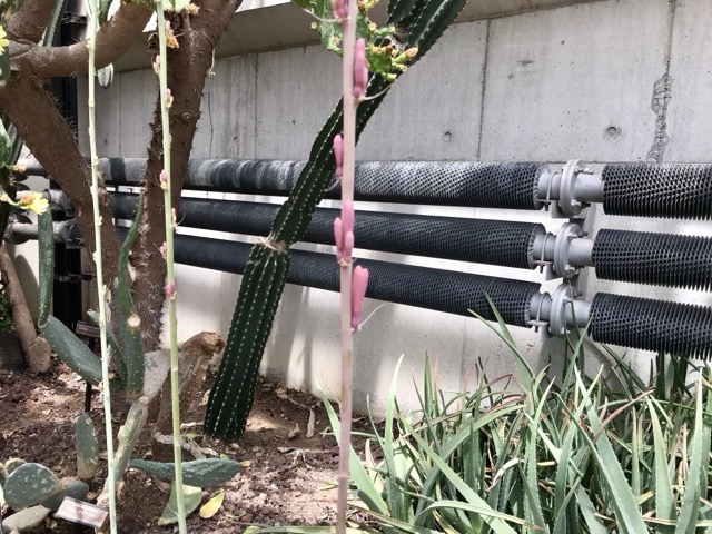 乱れ雪（ミダレユキ）