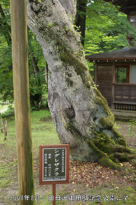 田母沢御用邸記念公園 田母沢御用邸記念公園