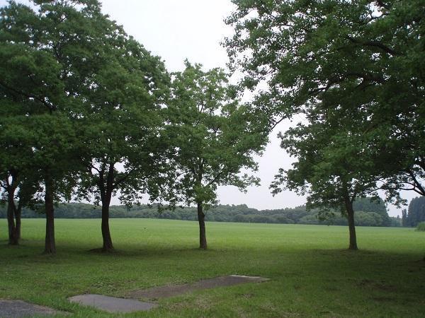 画像を等倍で表示します 水元公園