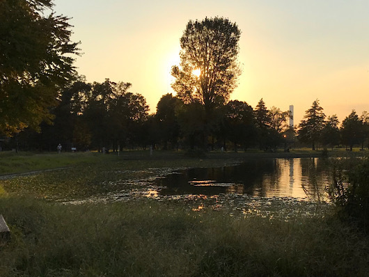 夕暮れの水元公園