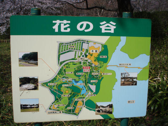 画像を等倍で表示します 茨城県自然博物館