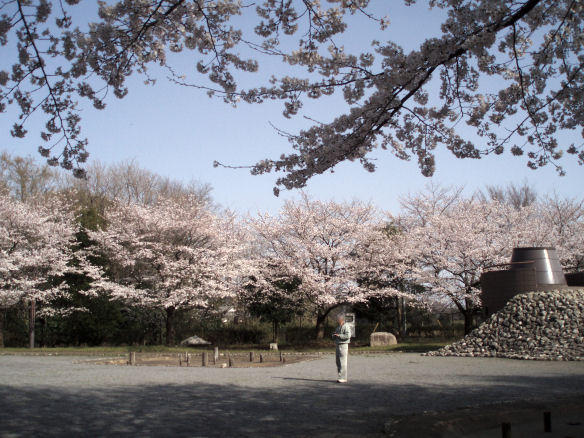 画像を等倍で表示します 茨城県自然博物館