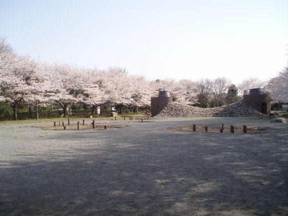 画像を等倍で表示します 茨城県自然博物館