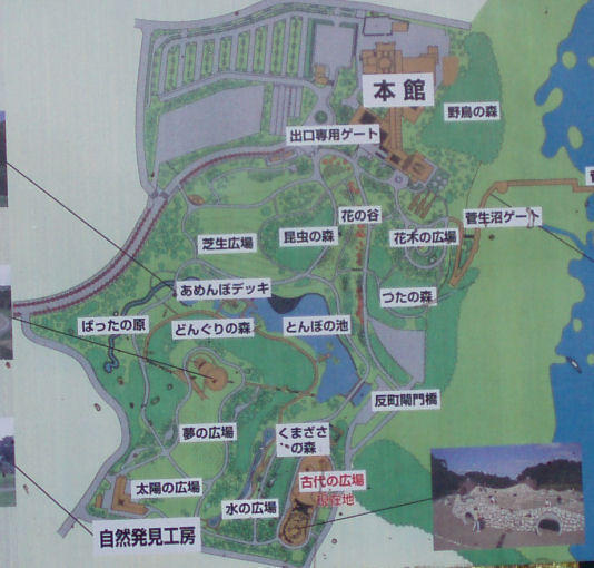 画像を等倍で表示します 茨城県自然博物館