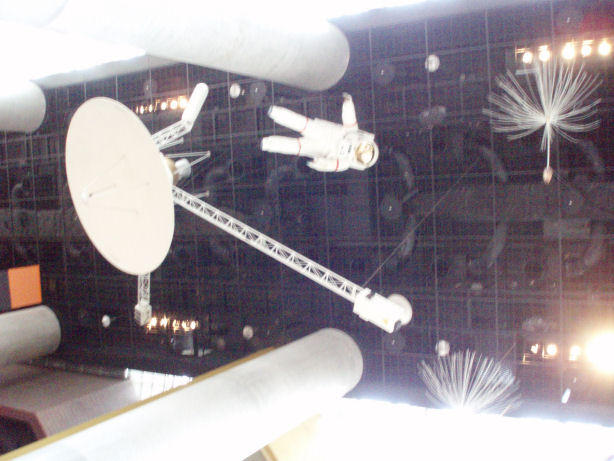 画像を等倍で表示します 茨城県自然博物館