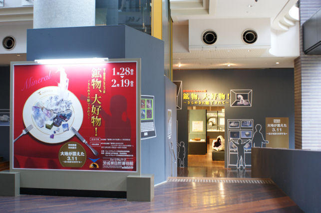 画像を等倍で表示します 茨城県自然博物館