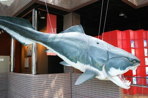 画像を等倍で表示します 「ミュージアムパーク 茨城県自然博物館」ダンクルオステウス