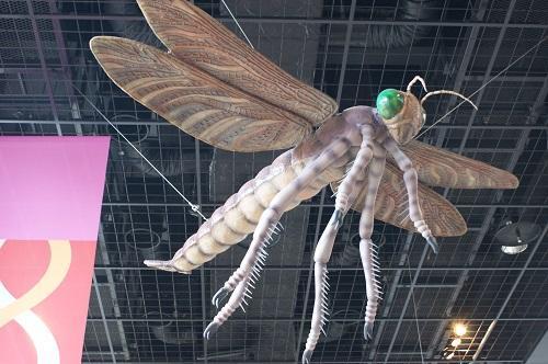 ミュージアムパーク 茨城県自然博物館」虫の模型 「ミュージアムパーク 茨城県自然博物館」虫の模型
