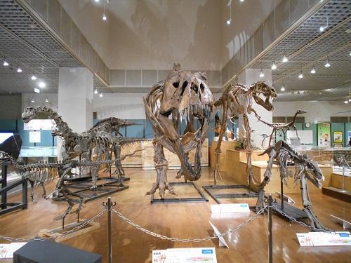 茨城県自然博物館 茨城県自然博物館