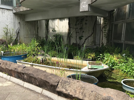 市川市観賞植物園