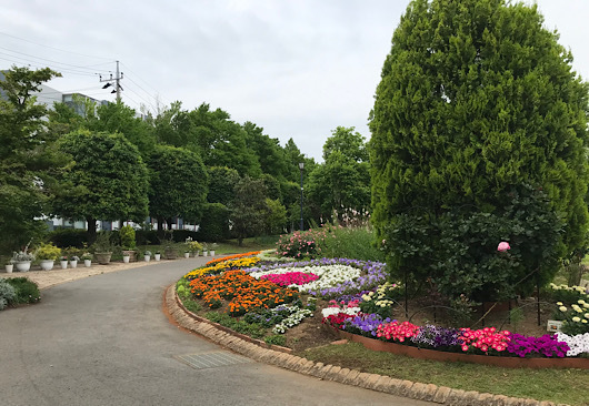 東松戸ゆいの花公園