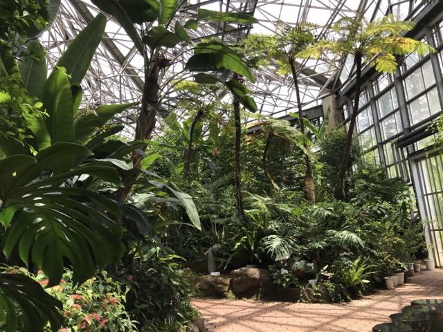 5月に行った市川市観賞植物園