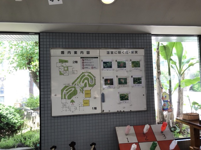 5月に行った市川市観賞植物園