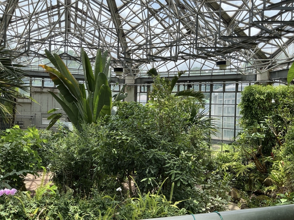 市川市観賞植物園