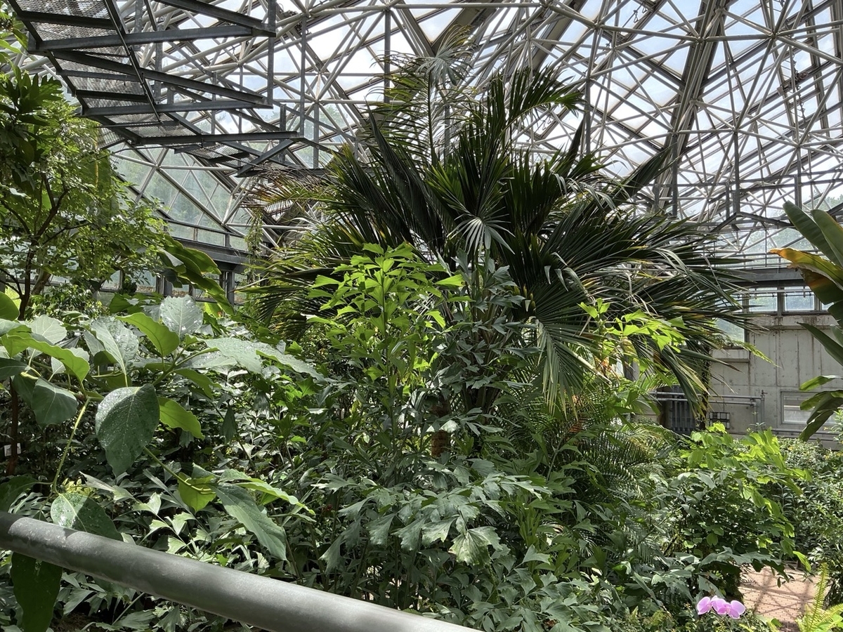 市川市観賞植物園