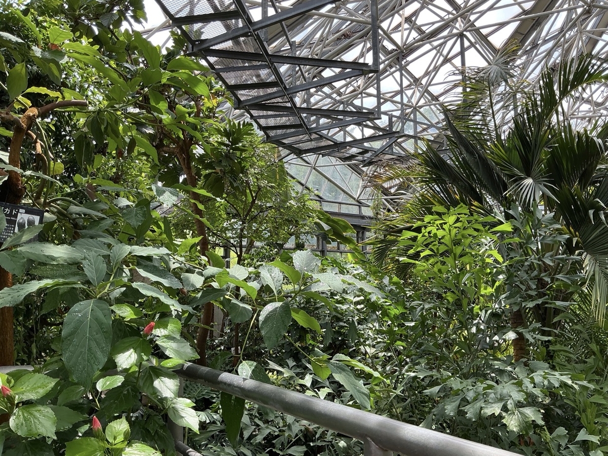 市川市観賞植物園