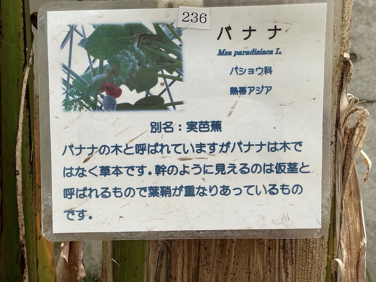 市川市観賞植物園