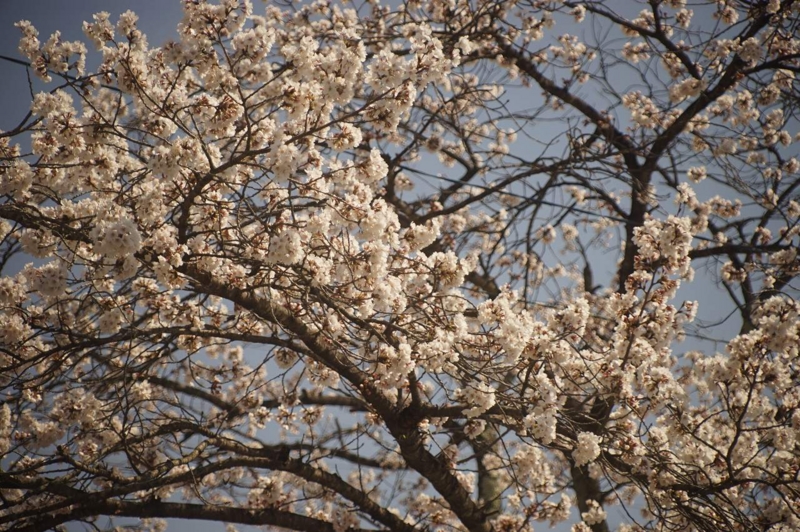 20140408175742