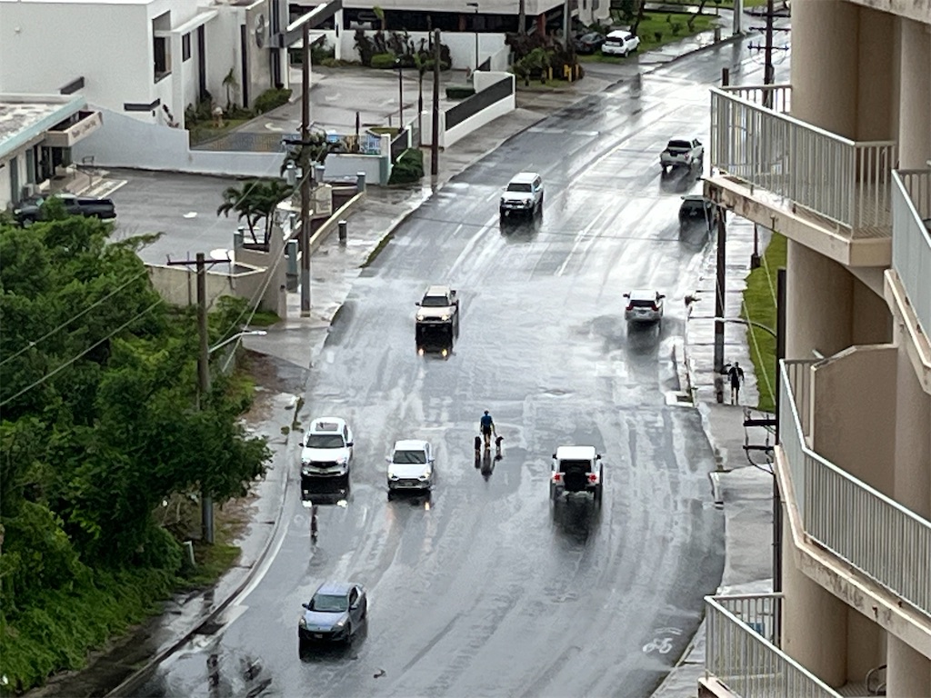 f:id:zunra:20230909141407j:image f:id:zunra:20230909141407j:image