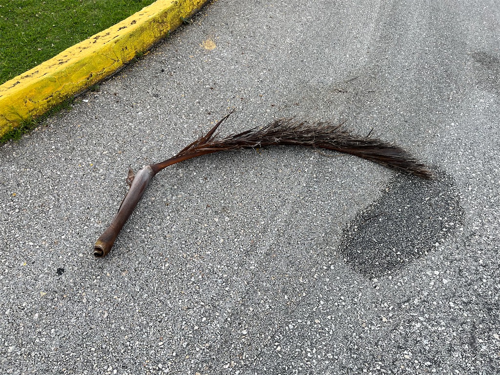 f:id:zunra:20230909141506j:image f:id:zunra:20230909141506j:image