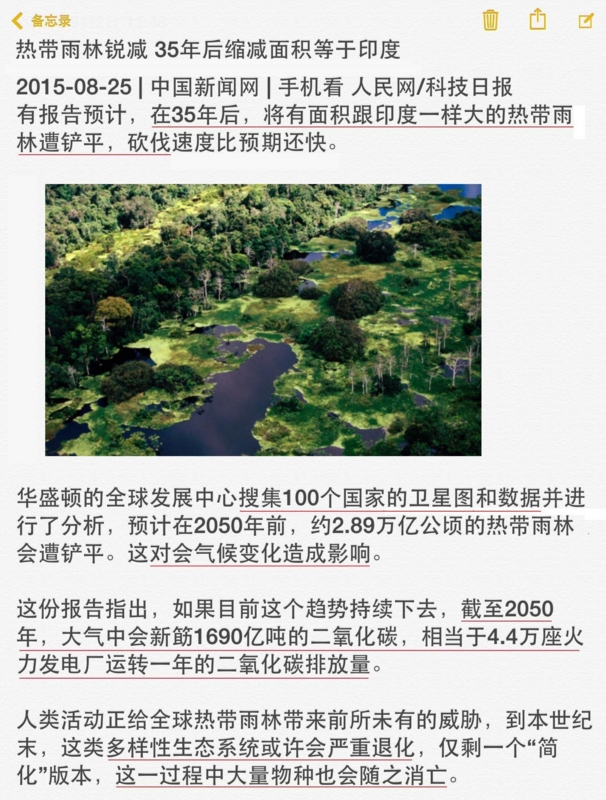 热带雨林