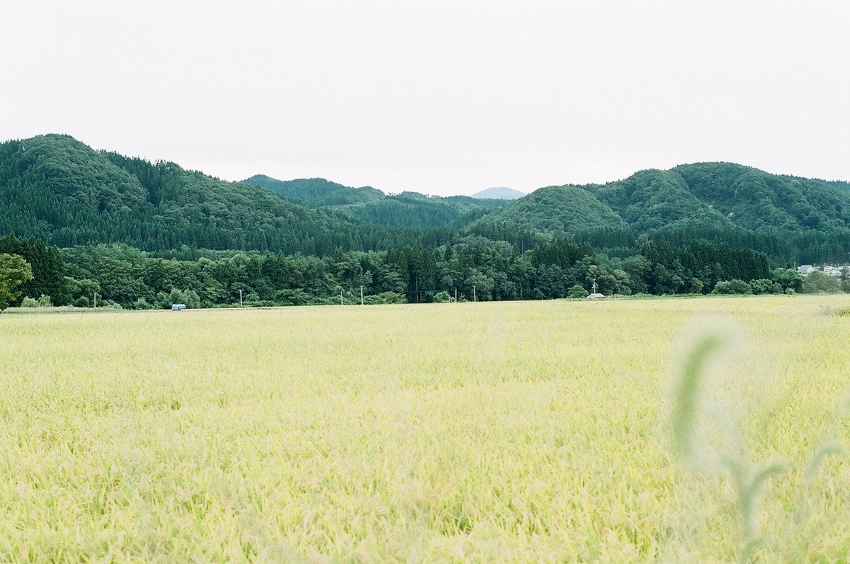 f:id:zuppa_film:20200423113252j:plain f:id:zuppa_film:20200423113252j:plain
