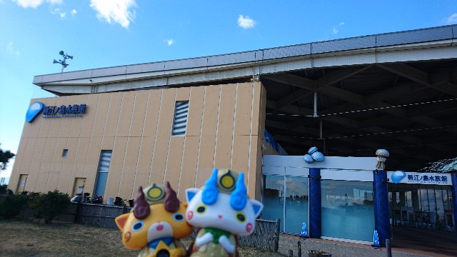 f:id:zuru_poke:20180206000334j:image f:id:zuru_poke:20180206000334j:image