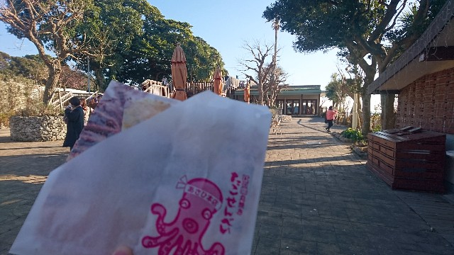 f:id:zuru_poke:20180206002323j:image f:id:zuru_poke:20180206002323j:image