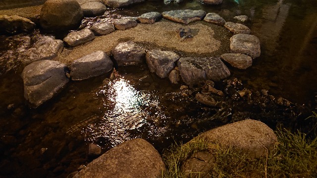 f:id:zuru_poke:20190804204821j:image f:id:zuru_poke:20190804204821j:image