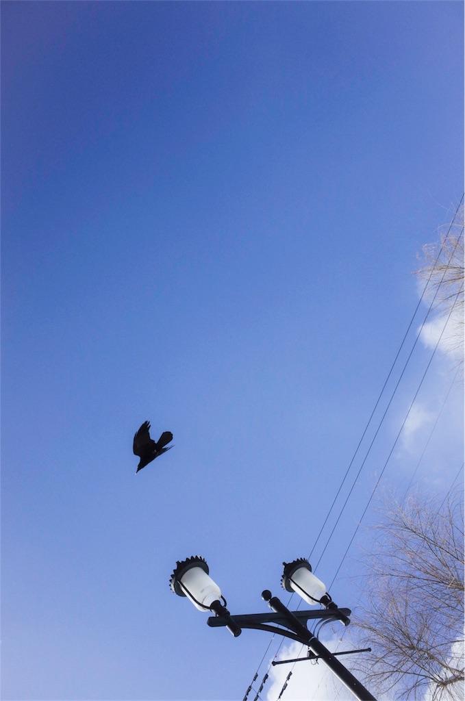 f:id:zushe:20180304220637j:image f:id:zushe:20180304220637j:image