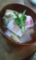 いただきます