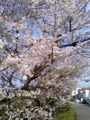 20100403155225